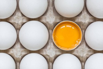 Identikit dell&rsquo;uovo