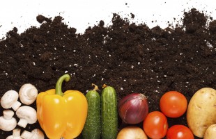 La salute passa per il cibo