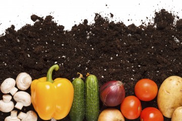 La salute passa per il cibo