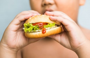 Olio d&rsquo;oliva contro l&rsquo;obesit&agrave;
